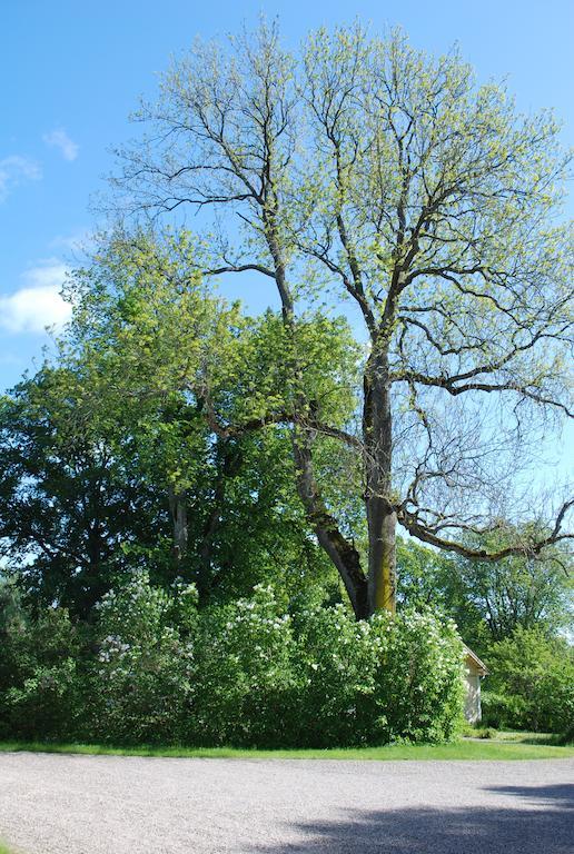 Kristbergs Rusthall Borensberg Exteriér fotografie