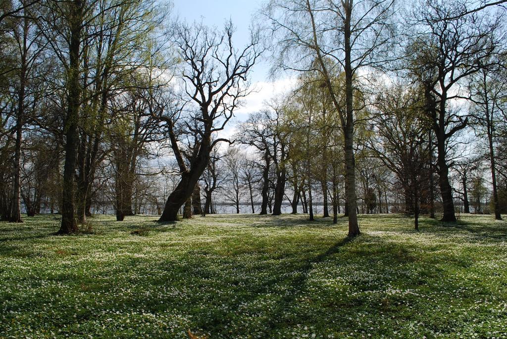 Kristbergs Rusthall Borensberg Exteriér fotografie